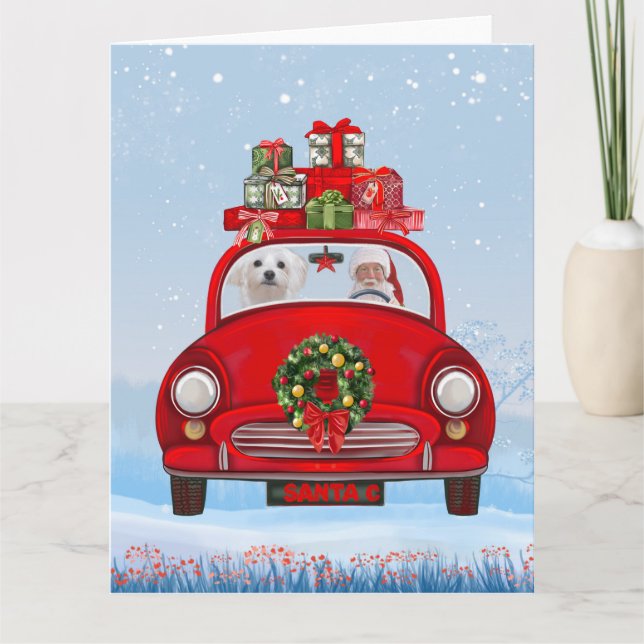 Maltese Dog In Car With Santa Claus  Card (Front)