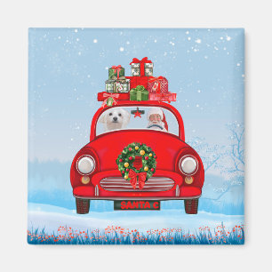 Maltese Dog In Car With Santa Claus Magnet