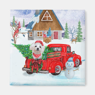 Maltese Dog In Christmas Delivery Truck Snow  Magnet