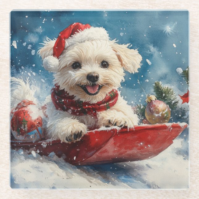 Maltese Dog in Sledge Let it Snow Christmas Glass Coaster (Front)