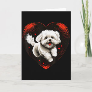 Maltese Dog Love Heart For Valentines Day Maltese Card