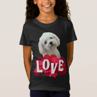 Maltese Dog Lover Puppy Owner Maltipoo Mix Fans He