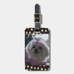 Maltese Dog Luggage Tag