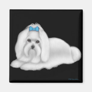 Maltese Dog Magnet