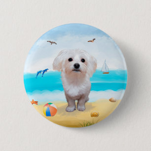 Maltese Dog on Beach 6 Cm Round Badge