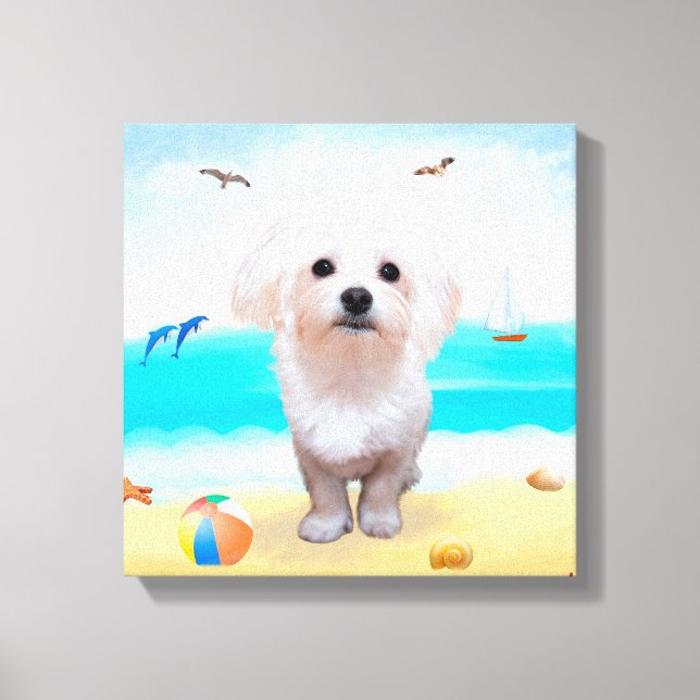 Maltese Dog on Beach Canvas Print (Front)
