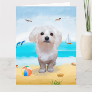 Maltese Dog on Beach Card