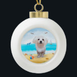 maltese Dog on Beach  Ceramic Ball Christmas Ornament<br><div class="desc">A maltese dog sitting on beach is a perfect gift idea for someone who love this dog breed.</div>