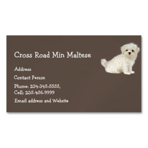 Maltese Dog Pet Animal Logo Magnetic Business Card