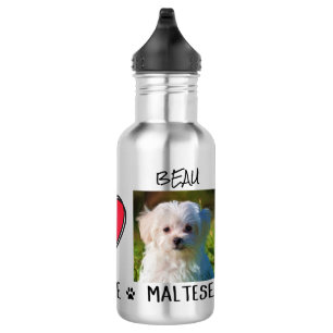 Maltese Dog Pet Lovers 532 Ml Water Bottle