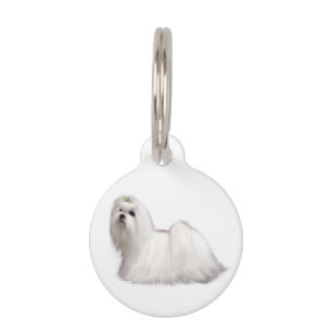 Maltese Dog Pet Tag