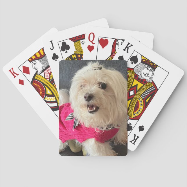 Maltese dog Playing cards (Back)