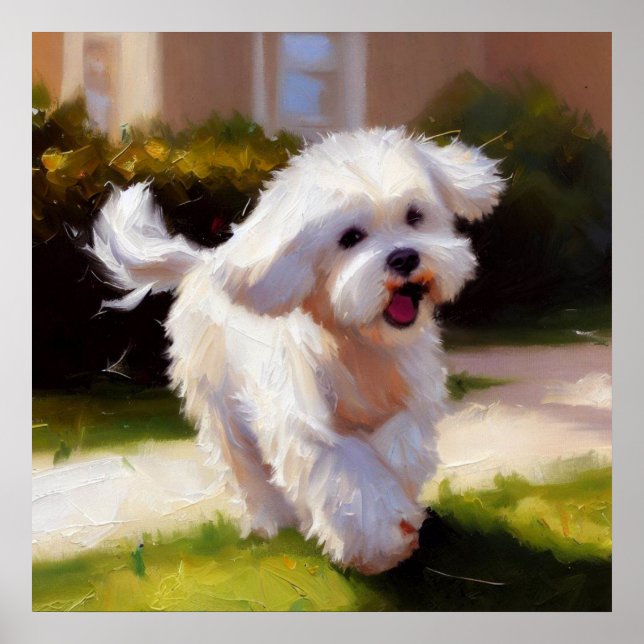 Maltese Dog Poster (Front)