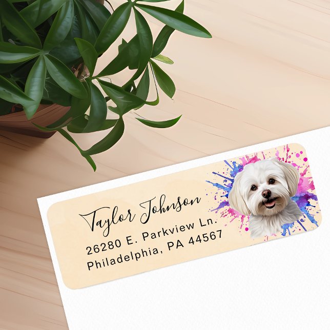 Maltese Dog Return Address Label (Creator Uploaded)