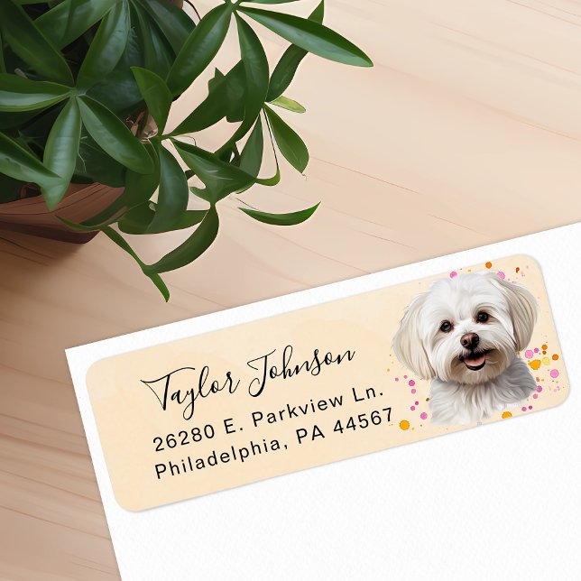 Maltese Dog Return Address Label (Creator Uploaded)