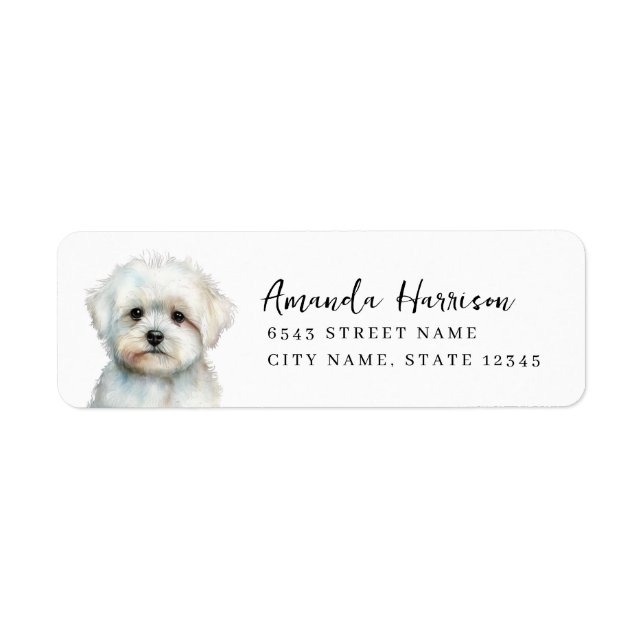 Maltese Dog Return Address Labels (Front)