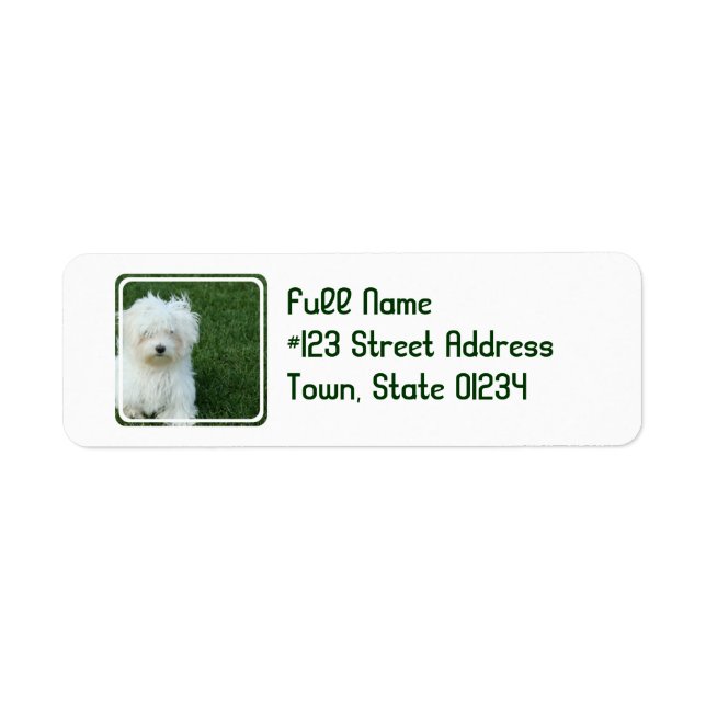 Maltese Dog Return Address Mailing Label (Front)