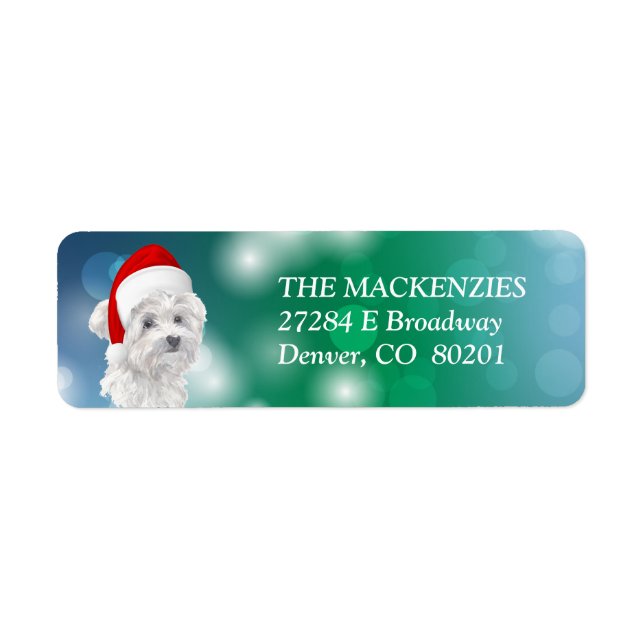 Maltese Dog Santa Hat Return Address (Front)