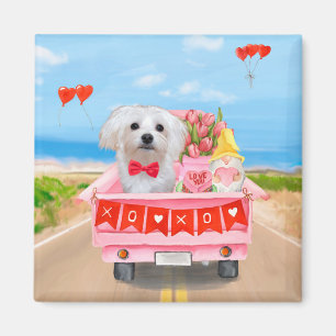 Maltese Dog Valentine's Day Truck Magnet