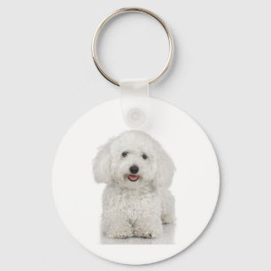 Maltese Dog White Key Ring