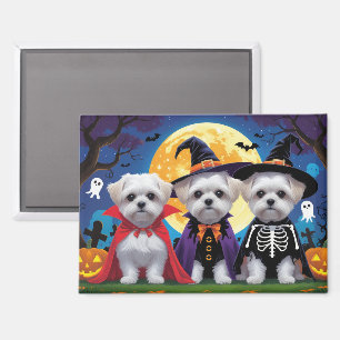 Maltese Dogs Pumpkin Halloween Funny Magnet