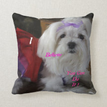 Maltese Dressed-Up Pillow