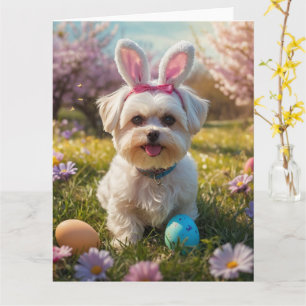 Maltese Easter Eggs Card