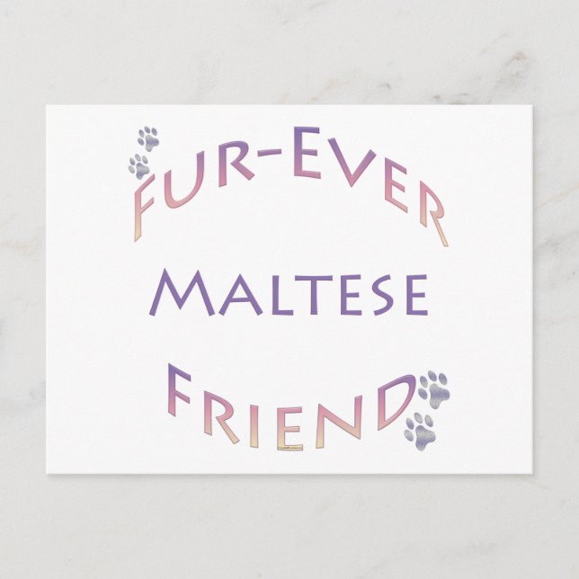 Maltese Furever Postcard (Front)