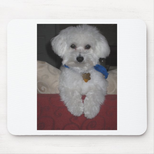 Maltese Gift Mouse Pad (Front)