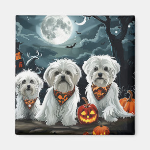 Maltese Halloween Spooky Magnet
