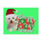 Maltese Have Holly Jolly Christmas