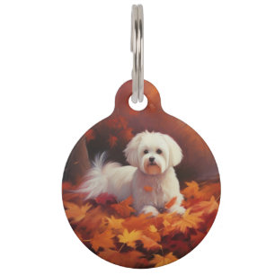 Maltese in Autumn Leaves Fall Inspire Pet Tag