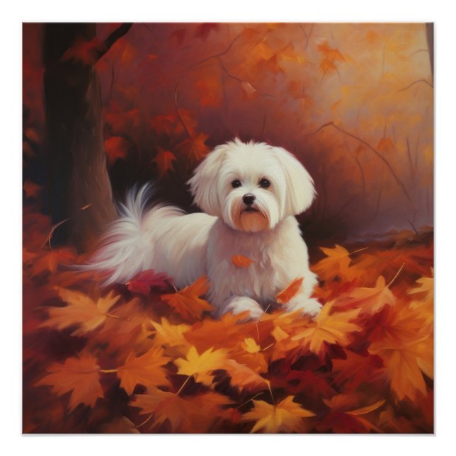 Maltese in Autumn Leaves Fall Inspire  Poster (Front)