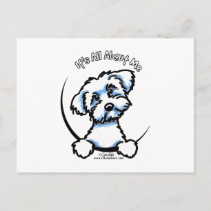 Maltese Its All About Me Postcard
