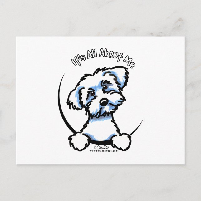 Maltese Its All About Me Postcard (Front)