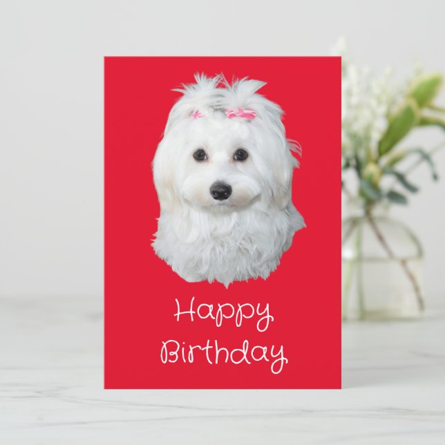 Maltese LiLi Dog White Puppy Photo Holiday Card (Standing Front)