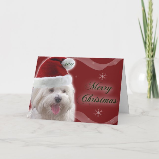 Maltese Merry Christmas Card (Front)