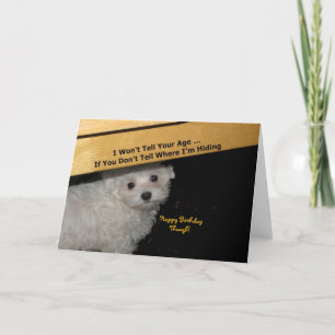 Maltese Message Birthday Card