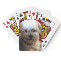 Maltese on Playing cards