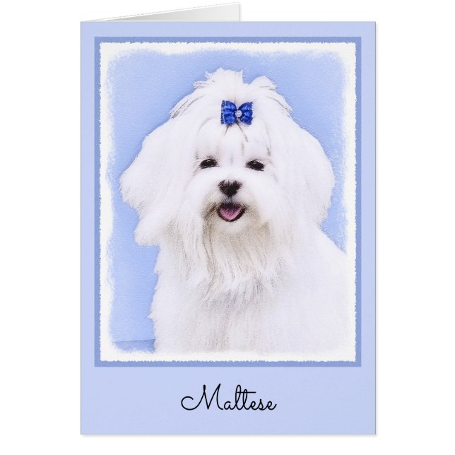 Maltese Painting - Cute Original Dog Art (Front)
