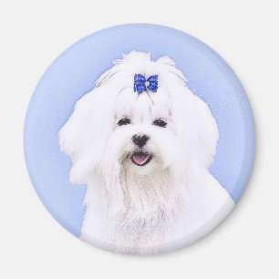 Maltese Painting - Cute Original Dog Art Magnet