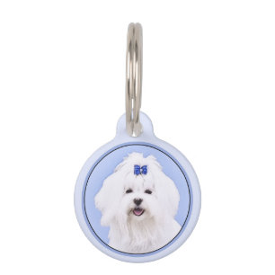 Maltese Painting - Cute Original Dog Art Pet Tag