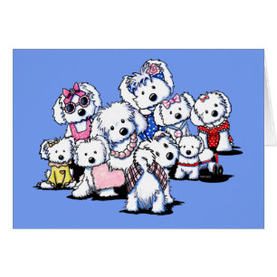Maltese Party Note Card