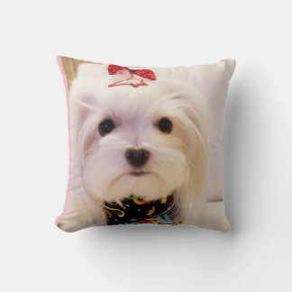 Maltese Pillow
