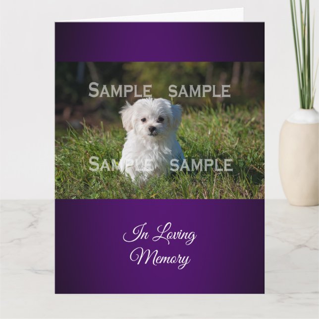 Maltese poodle in grass photo  | Personalise Card (Front)