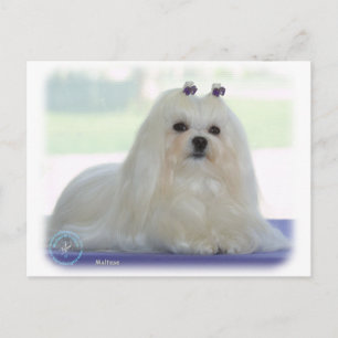 Maltese Postcard