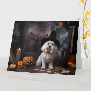 Maltese Pumpkins Halloween Scary Card