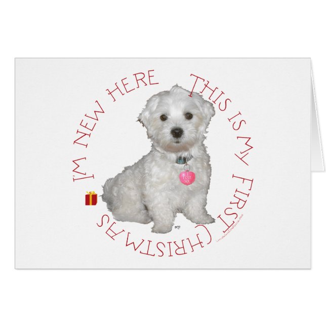 Maltese Pup First Christmas (Front Horizontal)