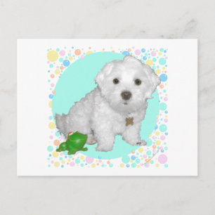 Maltese Pup with Bubbles Postcard