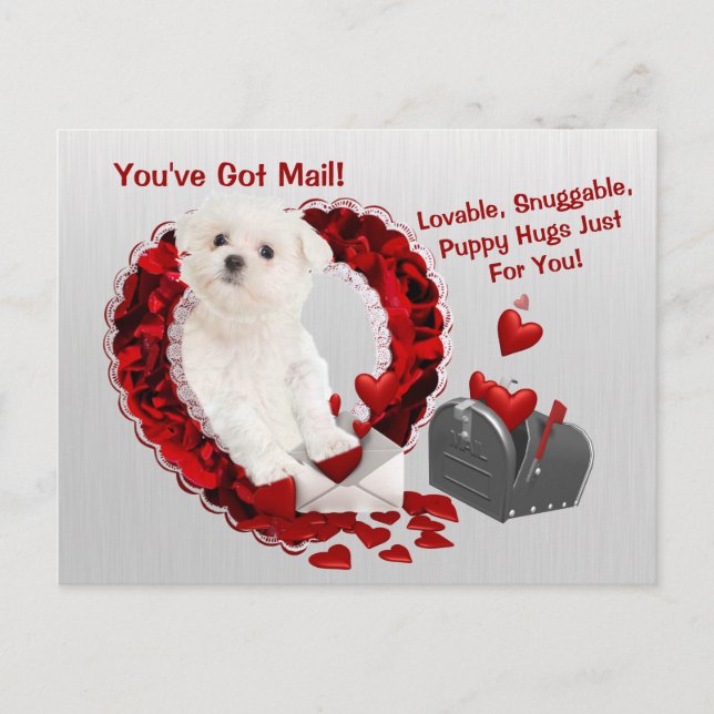 Maltese Pup You've Got Mail Puppy Hugs Valentine Holiday Postcard (Front)